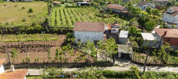 3 غرف نوم فيلا في Celorico de Basto, Portugal رقم 190073 4