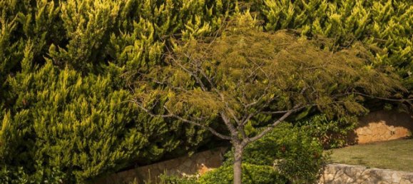 3 bedrooms Commercial property in Chania, Greece No. 248 25