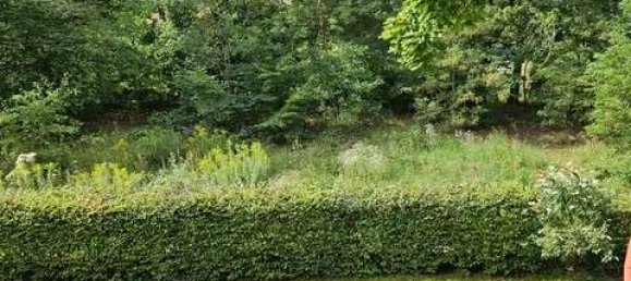 1 غرف نوم شقة في Kladow, Germany رقم 272353 5