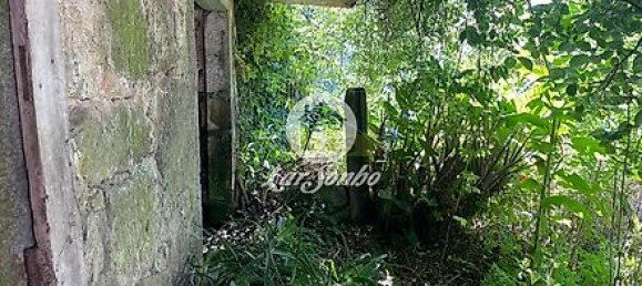 4 Schlafzimmer Haus in Barcelos, Portugal, Nr. 31131 3