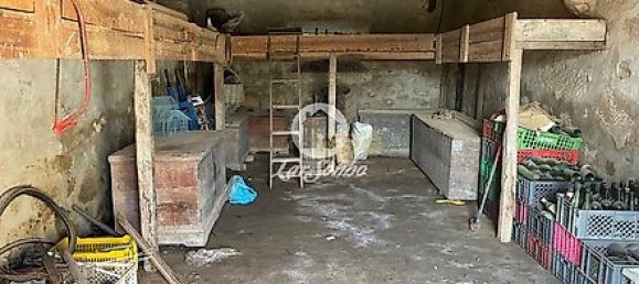 4 Schlafzimmer Haus in Barcelos, Portugal, Nr. 31131 14