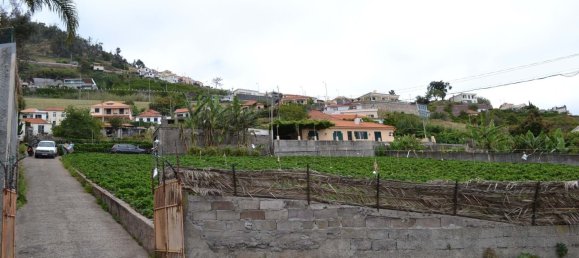 Grundstück in Funchal, Portugal 5000m², Nr. 143450 3