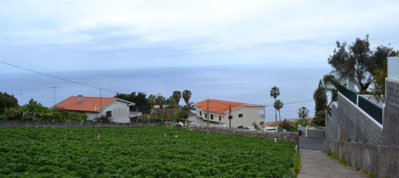 Grundstück in Funchal, Portugal 5000m², Nr. 143450 10