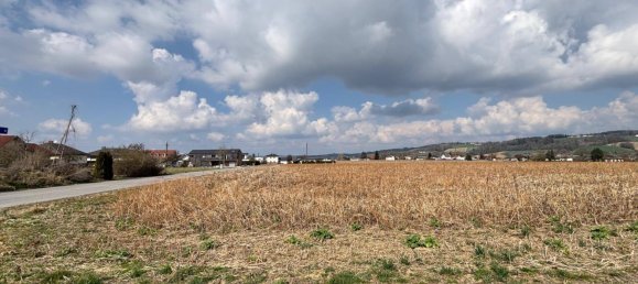 Terreno en St. Florian am Inn, Austria 971 m² No. 166979 3