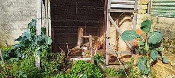 4 غرف نوم منزل في Sangalhos, Portugal رقم 34670 29