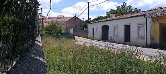 4 غرف نوم منزل في Sangalhos, Portugal رقم 34670 11