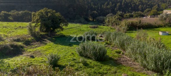  قطعة أرض في Sintra, Portugal رقم 109958 9
