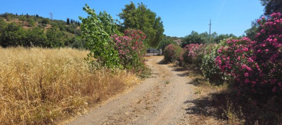 Bâtiment à Santa Catarina da Fonte do Bispo, Portugal 4200m² No. 63349 22