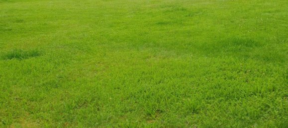 5 chambres Maison à Bamberg, Germany No. 254261 7