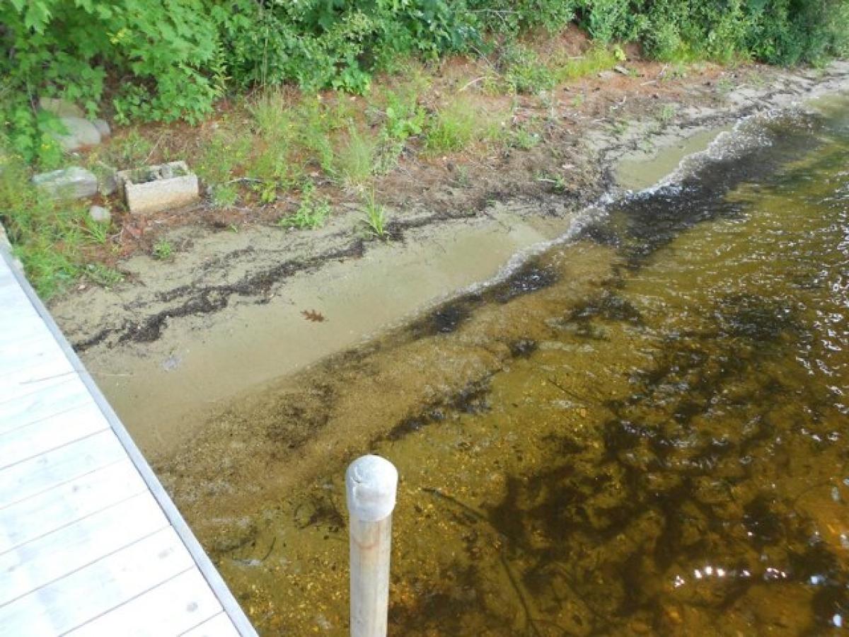 4 bedrooms House in Standish, USA No. 398507