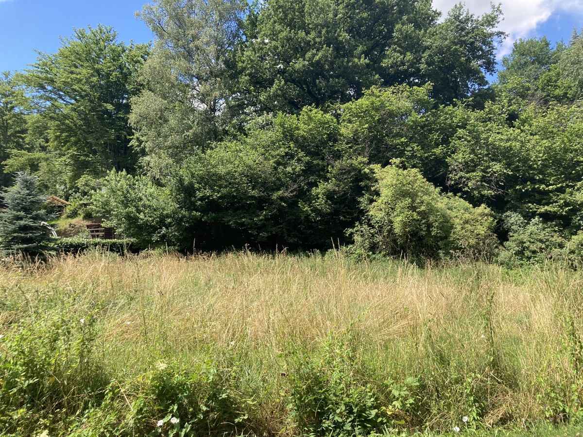  قطعة أرض في Rhein-Sieg, Germany رقم 177961