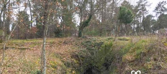  Land in Nelas, Portugal No. 67170 3