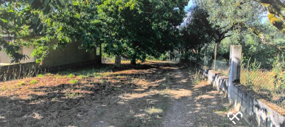  Land in Nelas, Portugal No. 67170 2