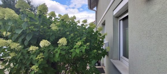 4 rooms Townhouse in Deutsch-Wagram, Austria No. 195171 20