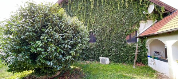 2-salle Appartement à Wiener Neustadt, Austria No. 66377 6