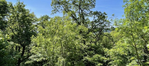 11 rooms Villa in Dobling, Austria No. 205377 36