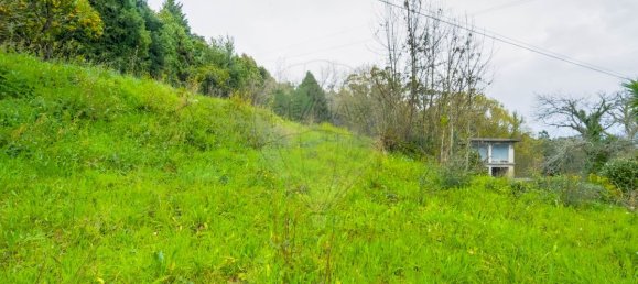Casa de 4 dormitorios en Barcelos, Portugal No. 17939 8