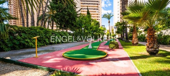 Ático de 3 dormitorios en Benidorm, Spain No. 177196 6