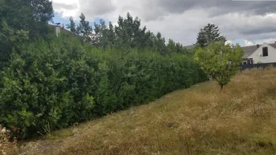 Grundstück in Gerasdorf bei Wien, Austria, Nr. 256628