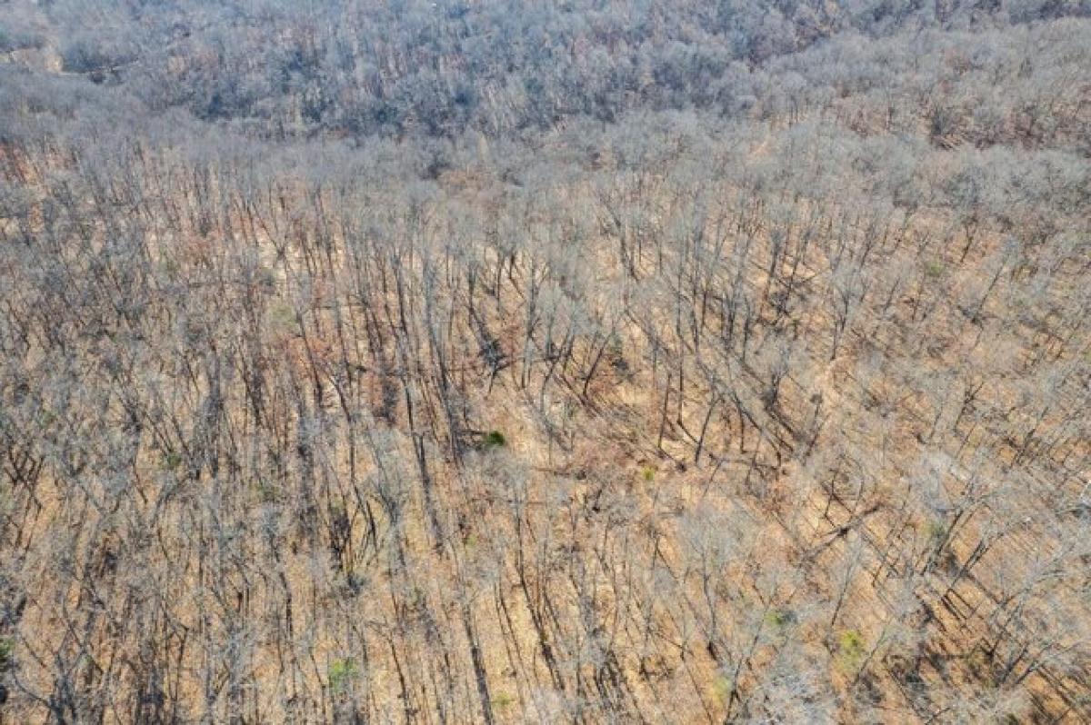  Land in Wyandotte, USA No. 498857