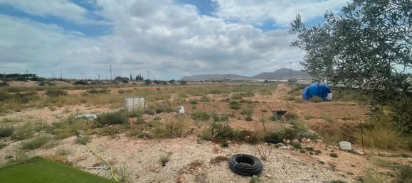 20500m² Land in Monforte del Cid, Spain No. 191331 3