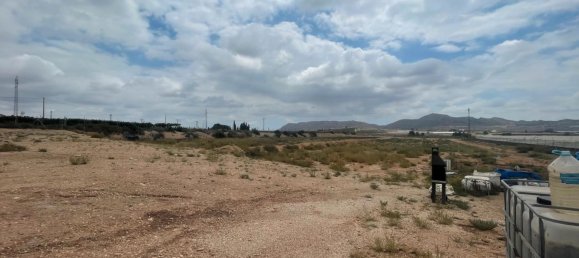 20500m² Land in Monforte del Cid, Spain No. 191331 2