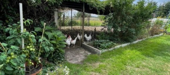 Ферма с 3 спальнями в Wittenberg, Германия № 249609 8