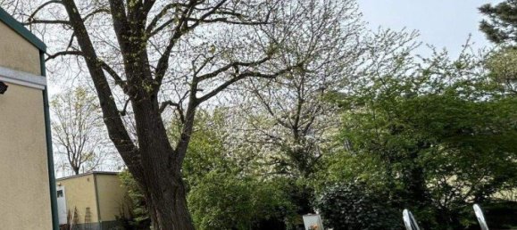 6 rooms Villa in Perchtoldsdorf, Austria No. 137568 10