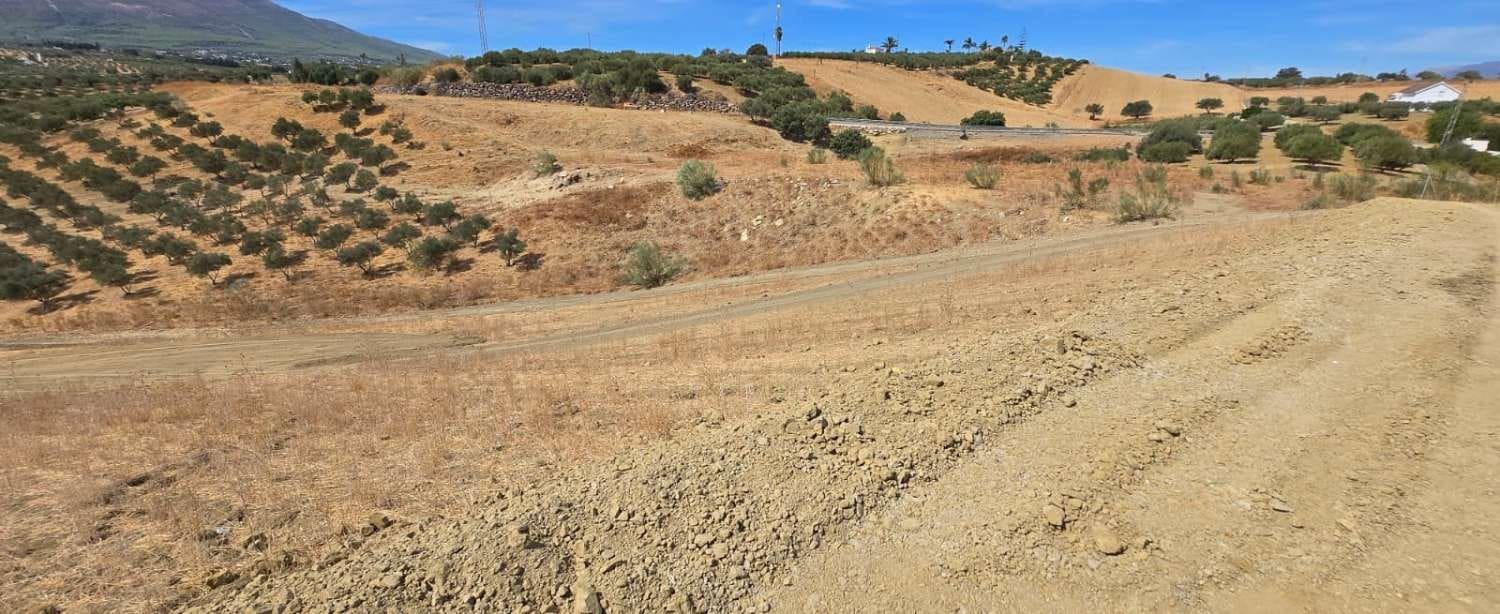  قطعة أرض في Alhaurin de la Torre, Spain رقم 221678