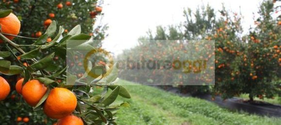 Земельный участок 50000м² в Бассано дель Граппа, Италия № 54952 4