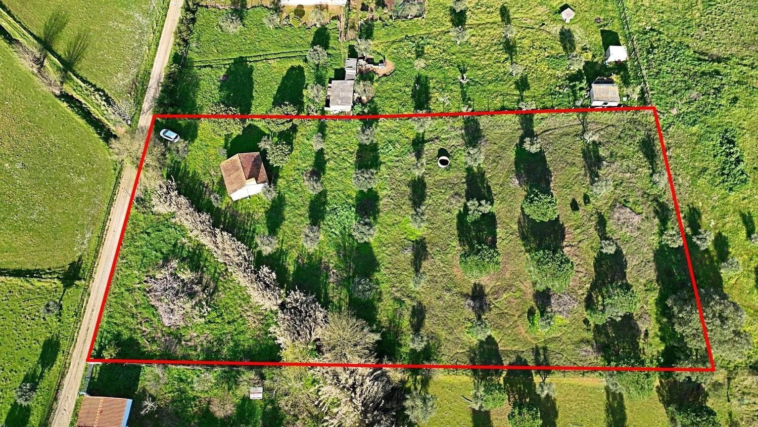 2 bedrooms House in Montemor o Novo, Portugal No. 254621