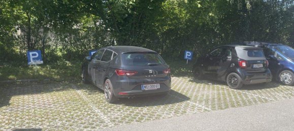 Парковка в Вельс, Австрия № 219477 9