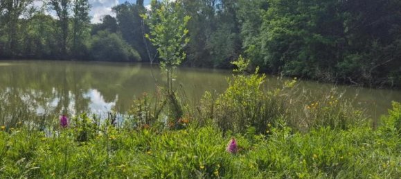 1 غرف نوم منزل في Rieumes, France رقم 345434 8