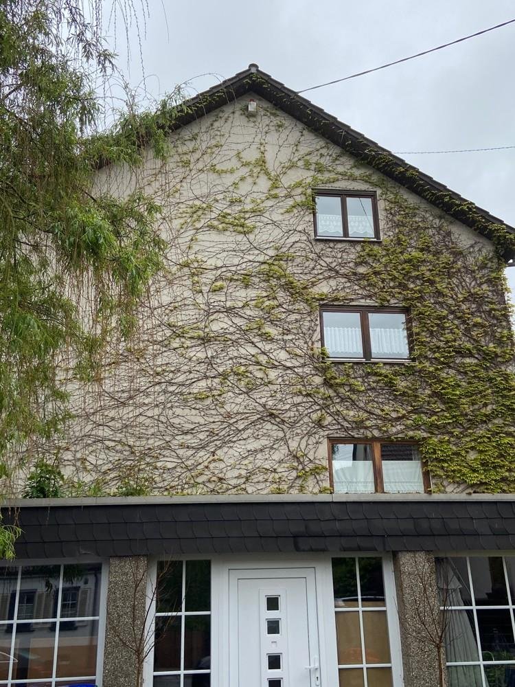 9 غرف نوم فندق في Saarbrucken, Germany رقم 261930