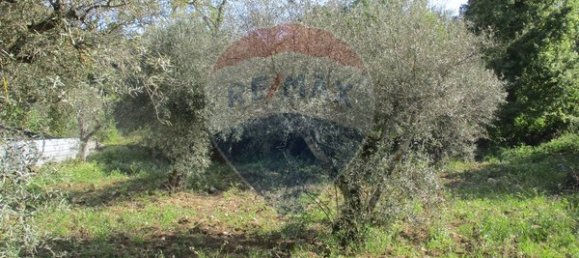 2 bedrooms House in Pinhel, Portugal No. 20456 13