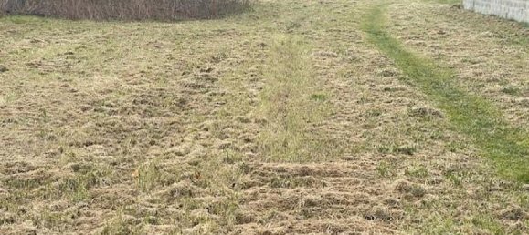 Grundstück in Neusiedl am See, Austria 919m², Nr. 72297 7