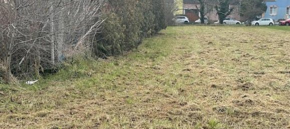 Grundstück in Neusiedl am See, Austria 919m², Nr. 72297 6