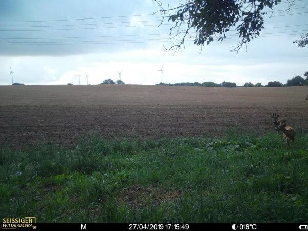Terreno em Vorpommern-Rugen, Germany 205000 m² N.º 327482