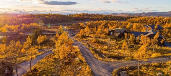  قطعة أرض في County of Bentheim, Germany رقم 293204 4