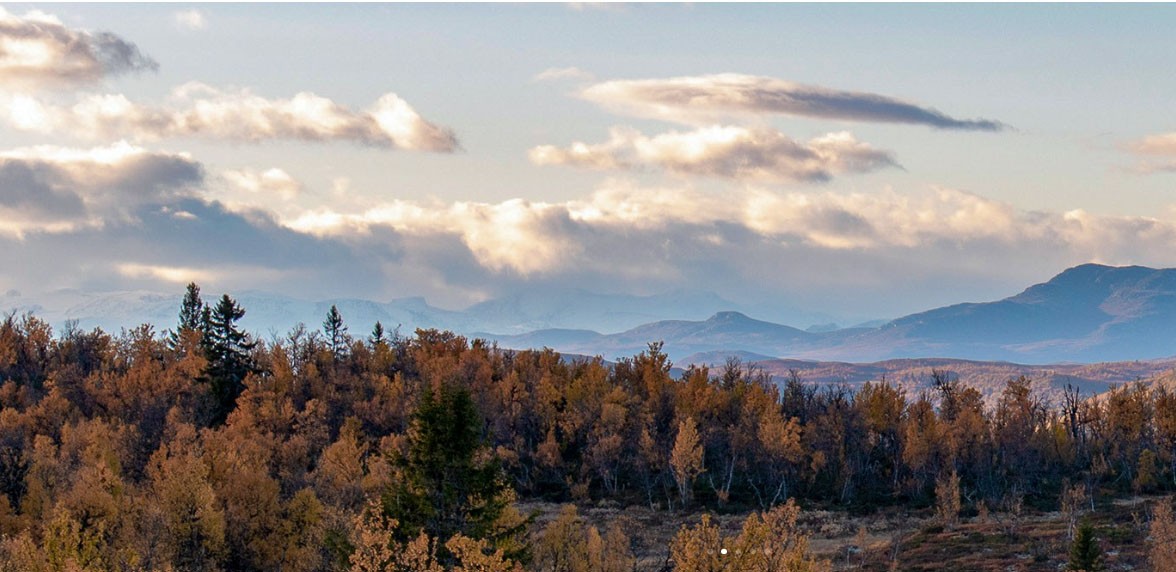  قطعة أرض في County of Bentheim, Germany رقم 293204