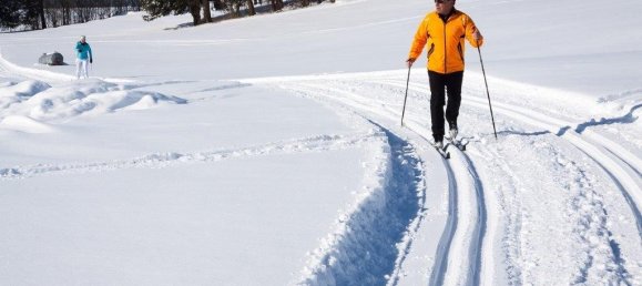  قطعة أرض في County of Bentheim, Germany رقم 293204 2