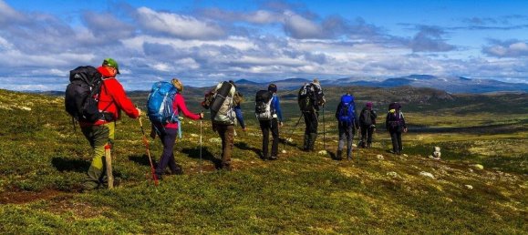  قطعة أرض في County of Bentheim, Germany رقم 293204 14