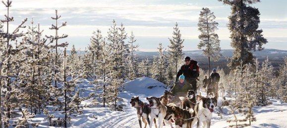  قطعة أرض في County of Bentheim, Germany رقم 293204 3