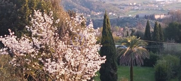 14 rooms Villa in Massarosa, Italy No. 288601 42