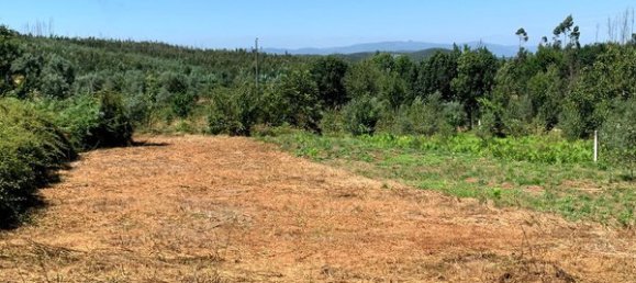 Terreno en Mortagua, Portugal 636 m² No. 49276 11