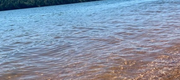 Terreno en Mortagua, Portugal 636 m² No. 49276 10