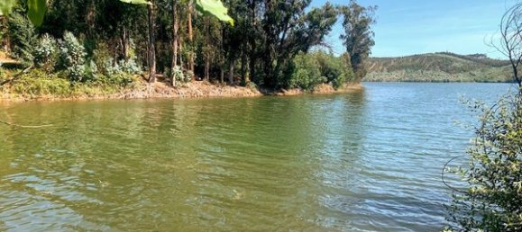 Terreno en Mortagua, Portugal 636 m² No. 49276 18