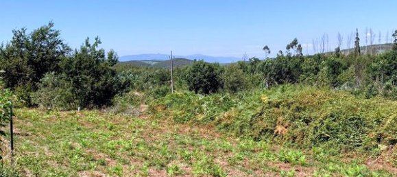 Terreno en Mortagua, Portugal 636 m² No. 49276 6