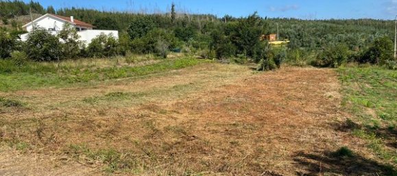 Terreno en Mortagua, Portugal 636 m² No. 49276 5