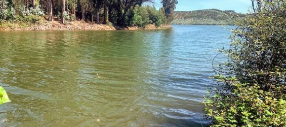 Terreno en Mortagua, Portugal 636 m² No. 49276 21